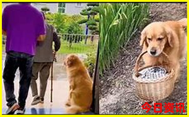 黄梅有什么好玩的地方旅游景点